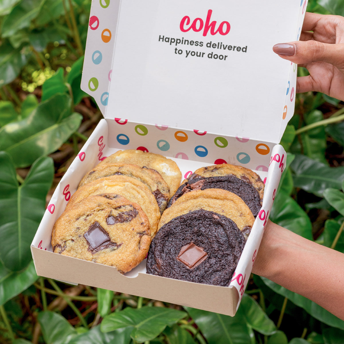 Box of 8 Cookies – Coho
